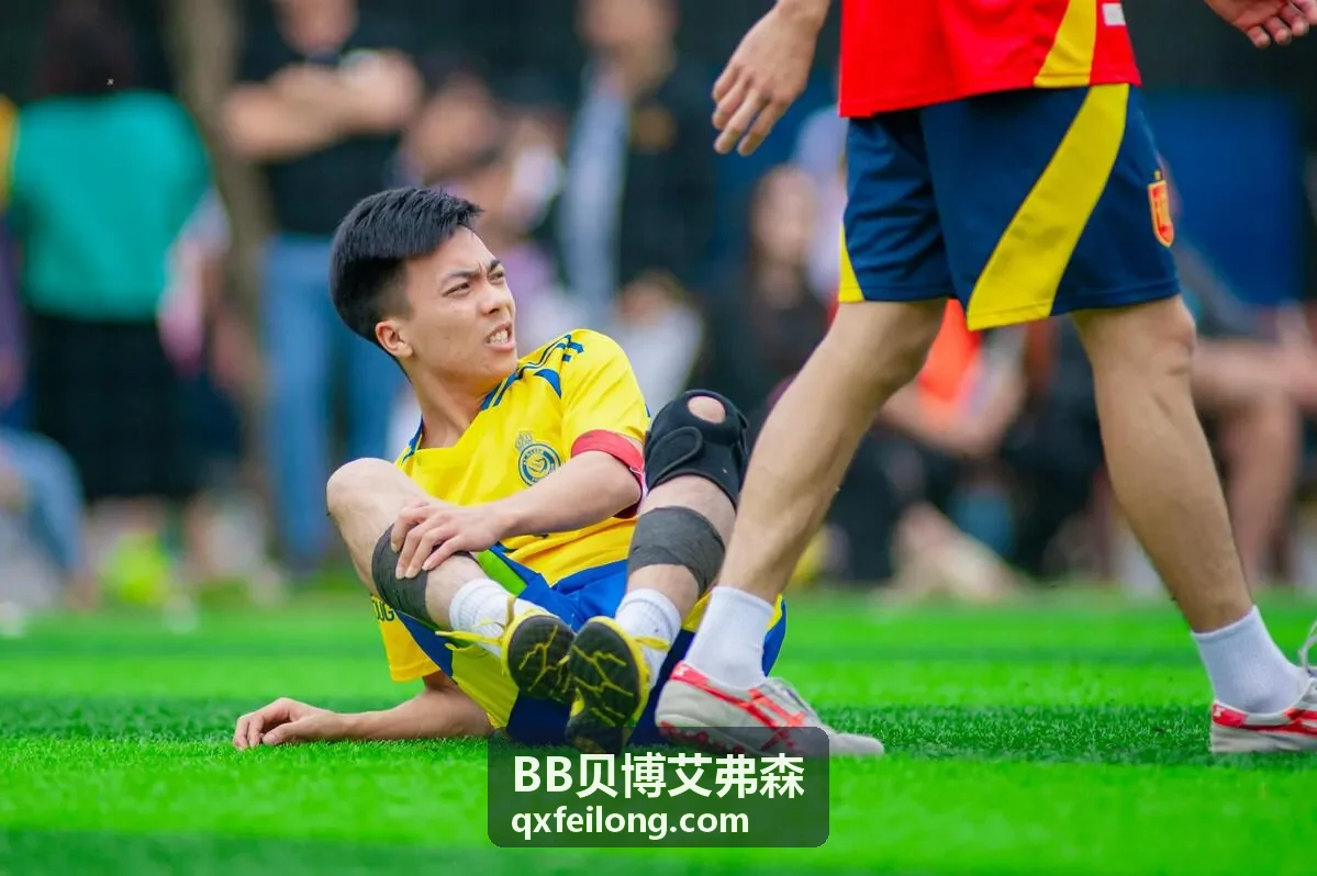 BB贝博艾弗森增长分析